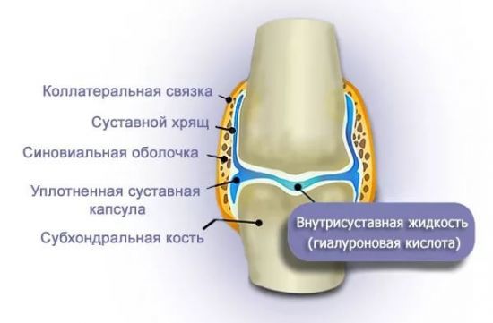 Уколы алфлутоп: действие, инструкция по применению, отзывы