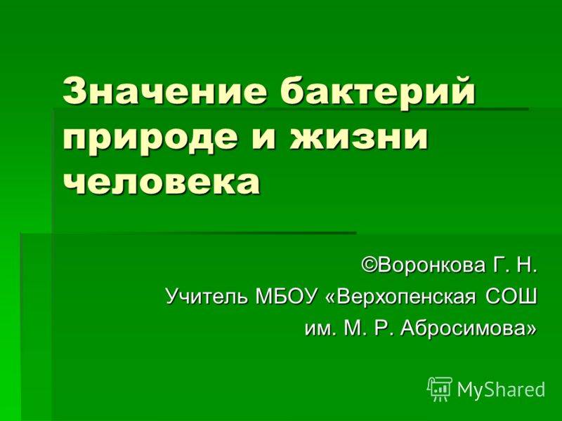 Где и как человек использует бактерии
