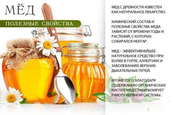 Алоэ с медом