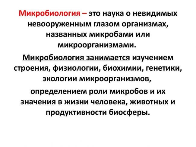 След первой бактерии