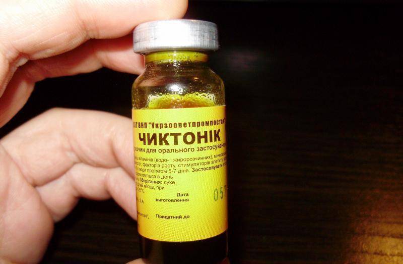 Препарат Чиктоник