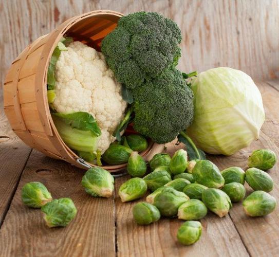 Что произойдет с вашим телом, если вы откажетесь от молочных продуктов :: инфониак