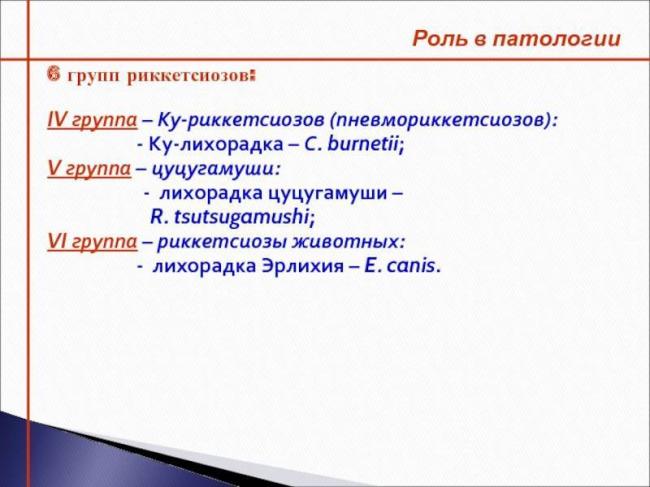 Везикулёзный риккетсиоз