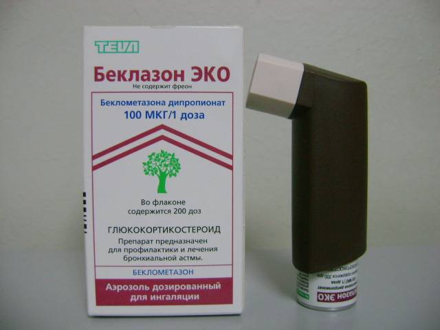 Меры профилактики бронхиальной астмы