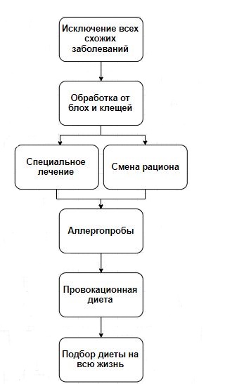 Диета при аллергии - список гипоаллергенных продуктов