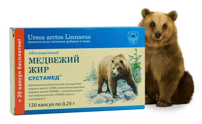 Как правильно принимать медвежий жир для лечения кашля?