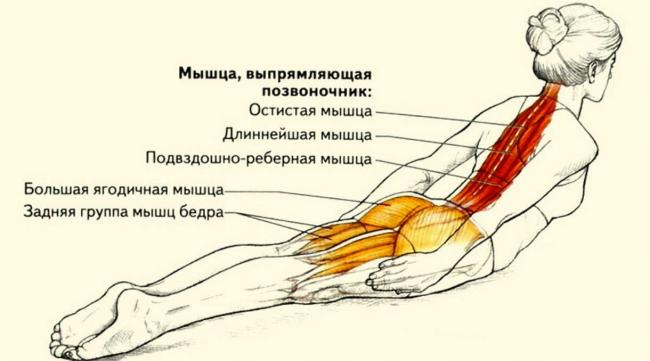 Дыхательная гимнастика при бронхиальной астме