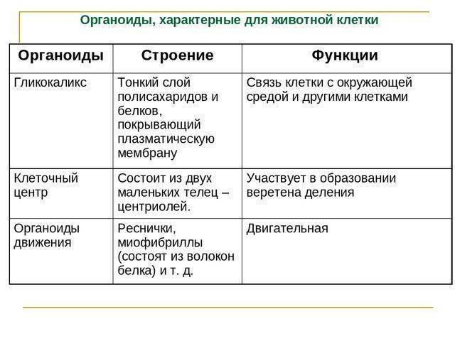 Организмы, клетки которых не имеют оформленного ядра, митохондрий, аппарата гольджи относятся к группе: а) прокариот б) эукариот
