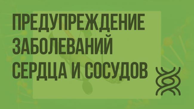 Движение крови по сосудам википедия