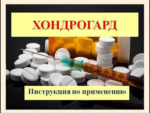 В каких случаях поможет препарат хондрогард, сколько он стоит, и что говорят о нем пациенты и врачи?