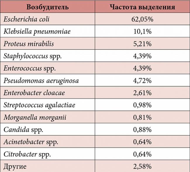 Бактерии в моче у женщин: что это значит, причины, проведение анализа, расшифровка, лечение