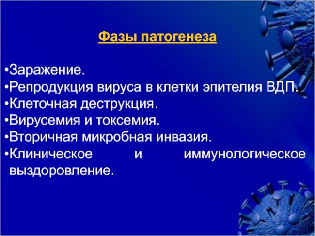 Как вирусы гриппа проникают в организм человека