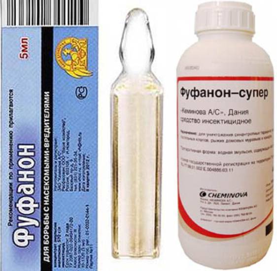 Фуфанон кэ, нова для комнатных и других растений описание, область применения, инструкция работе со средством, отзывы