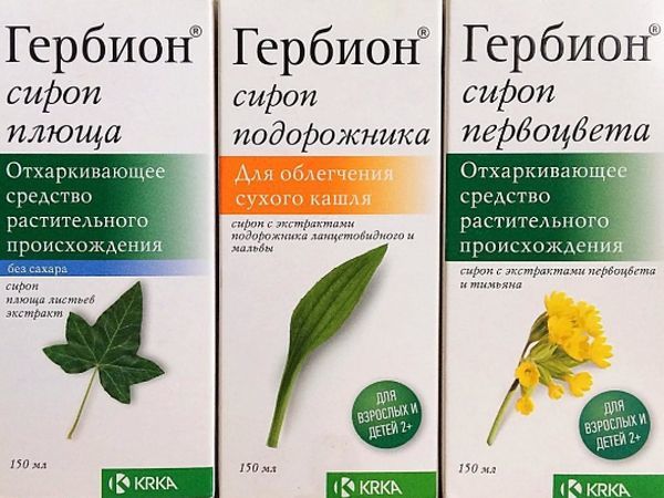 Гербион от сухого кашля – какой сироп подходит для лечения?