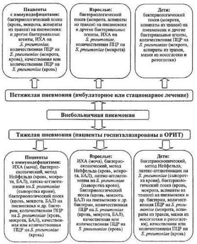 Какой анализ крови показывает пневмонию. анализы мочи и крови при пневмонии - значение показателей