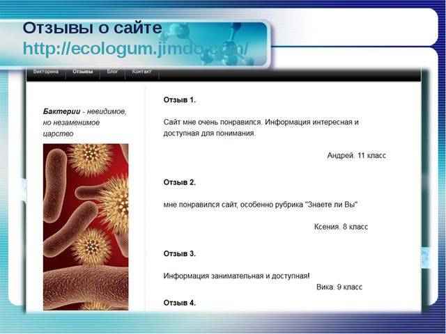 Что делают различные бактерии в нашей жизни