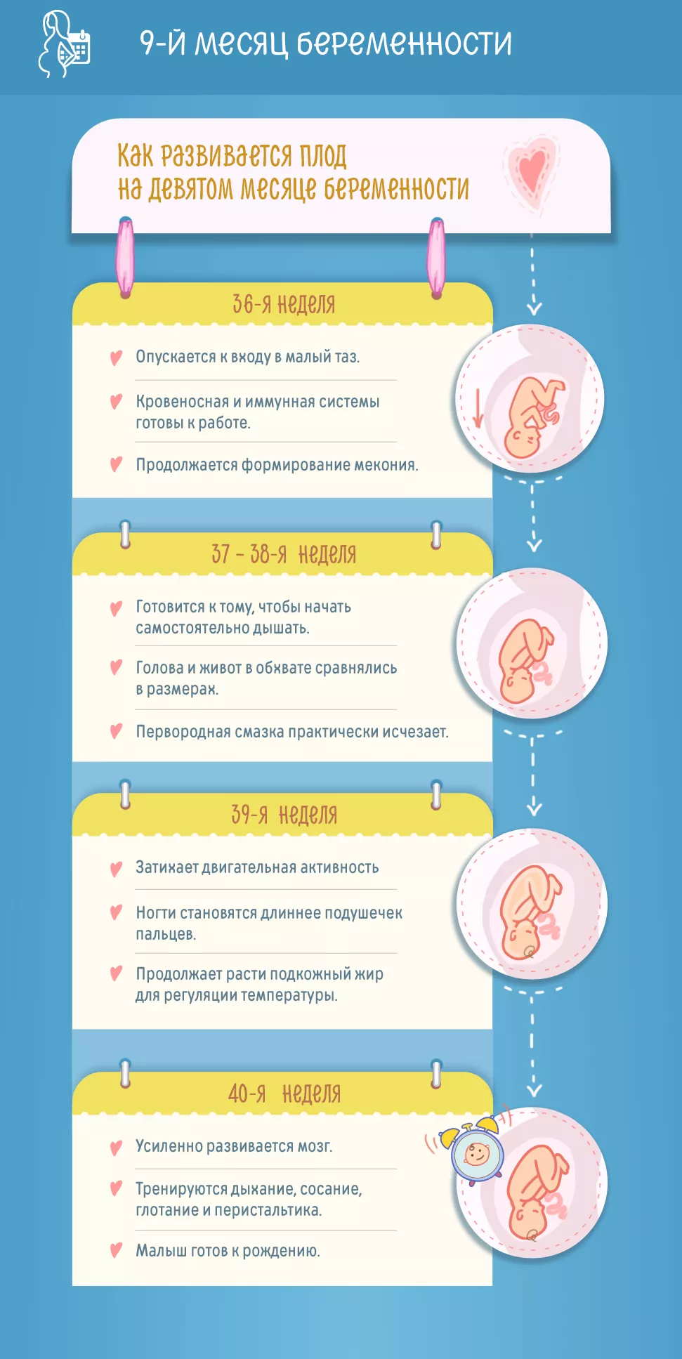 9 месяц беременности