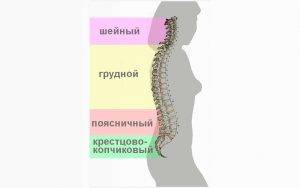 Ремисид инструкция по применению