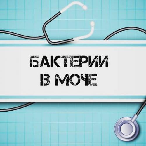 Нашли бактерии моче( - запись пользователя //tanyam// (hochy_baby) в сообществе здоровье будущей мамы и малыша в категории анализы, инфекции - babyblog.ru