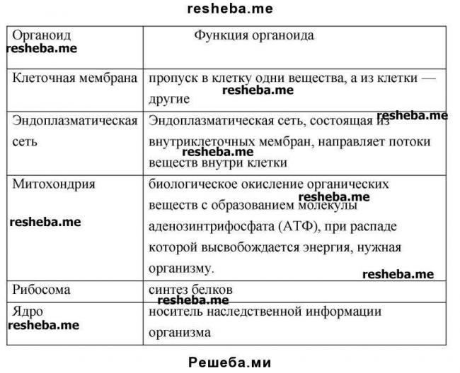 Читать книгу биология. общая биология. профильный уровень. 10 класс н. и. сонина : онлайн чтение - страница 8