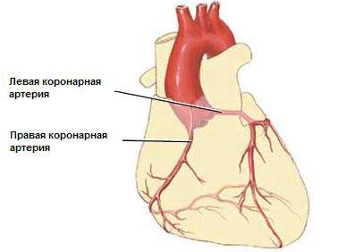 Шунтирование сердца. что это такое, сколько живут, операция, противопоказания