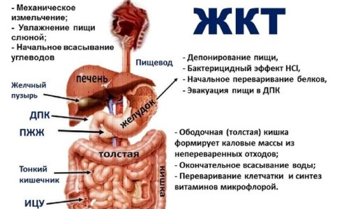 «азитрал»
