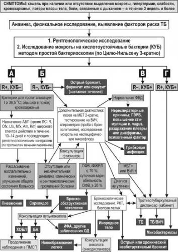 Эксперт: “чтобы принудительно лечить туберкулёз, нужно превратить стационары в наркопритоны”