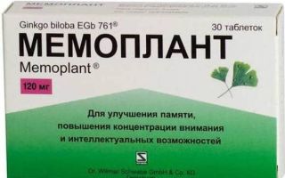 Гинкго билоба – лекарственное растение
