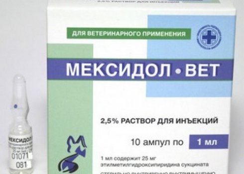 Правила применения ронколейкина для собак в домашних условиях