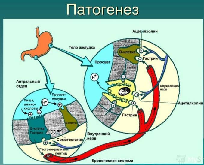 Глава 01. общая нозология