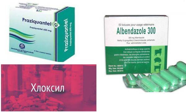 Экорсол Форте инструкция по применению, цена, аналоги, отзывы