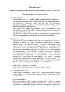 Бактерии-прокариоты – живые «кирпичики» эволюции