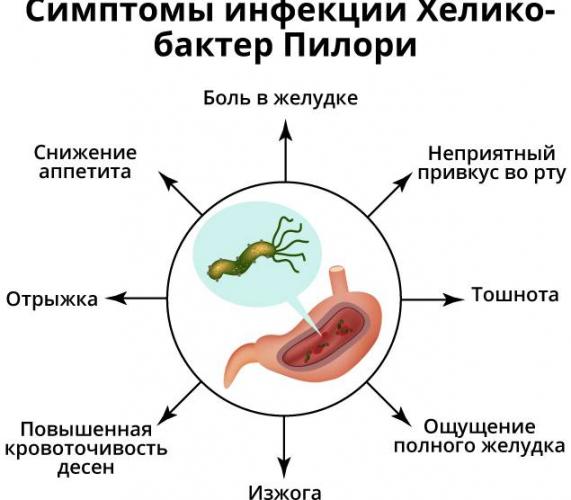 Лечение хеликобактер пилори народными средствами
