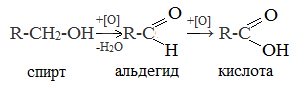 Бензол и его гомологи