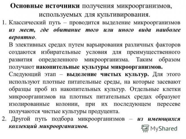 Главные принципы и особенности посева бактерий