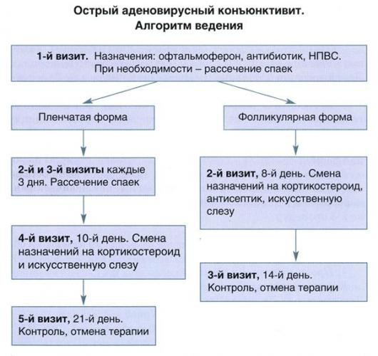 Бактериальный конъюнктивит глаз лечение у взрослых капли