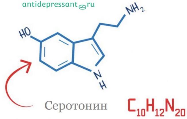 Тразодон