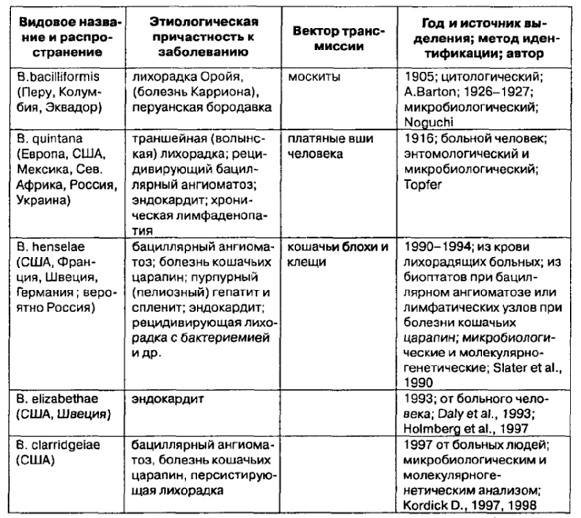 Гельминтоз – симптомы и признаки у детей и взрослых, диагностика, лечение (как избавиться от паразитов, лекарства, таблетки, народные средства)