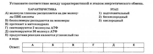 Метаболизм