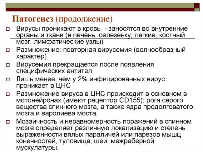 Новые коронавирусы: человечеству придёт конец?