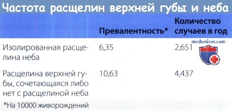 Что такое волчья пасть: фото, виды, причины возникновения, методы терапии