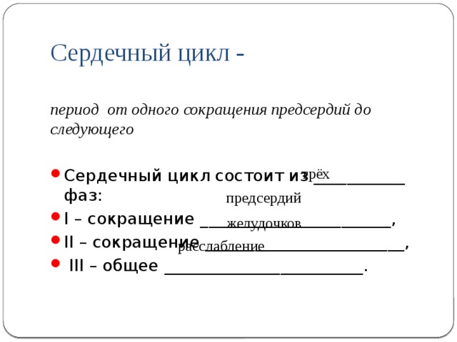 Строение сердечно-сосудистой системы