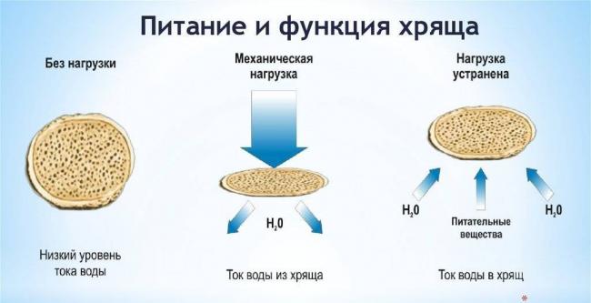 Сустагард Артро