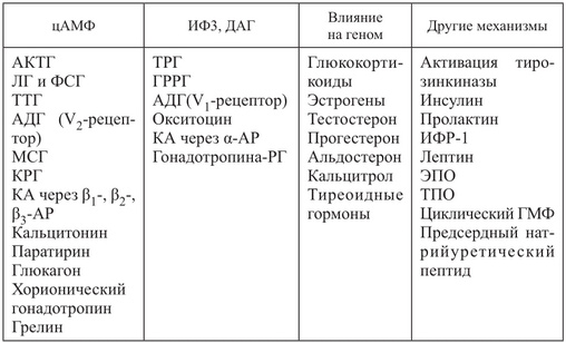 Гормон лептин повышен: как понизить уровень гормона
