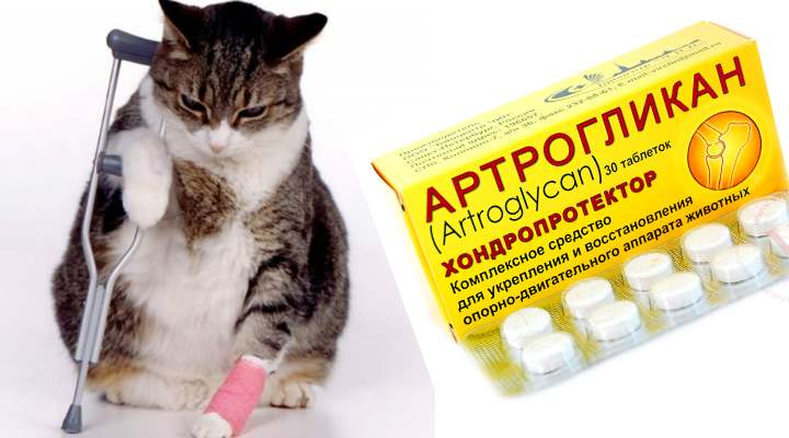 Артрогликан можно принимать людям