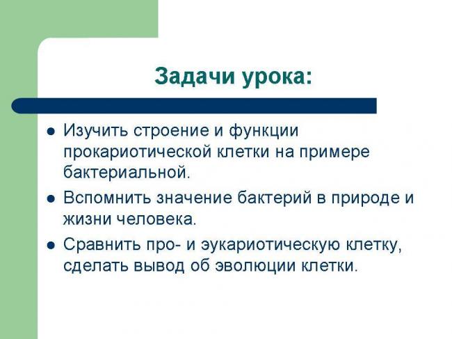 Особенности хемосинтеза бактерий