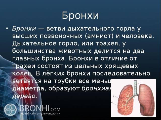 Анализы после бронхита у ребенка