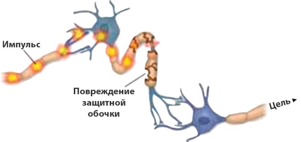 Статьи