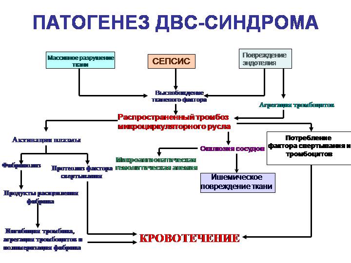 Общее понятие о болезни. этиология и патогенез. роль генетических факторов в патологии человека. - презентация