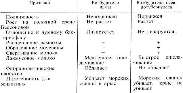 Идентификация микробов